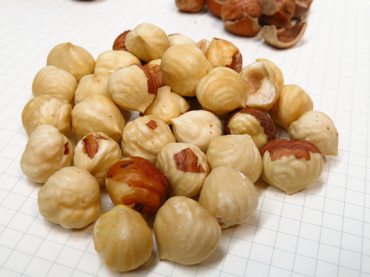 'Raritan' Hazelnut- BAREROOT 1YR