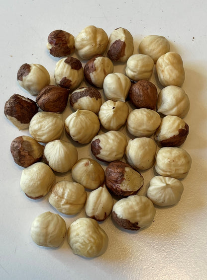 Raritan Hazelnut- 2 YR POTTED- 2 gallon pot